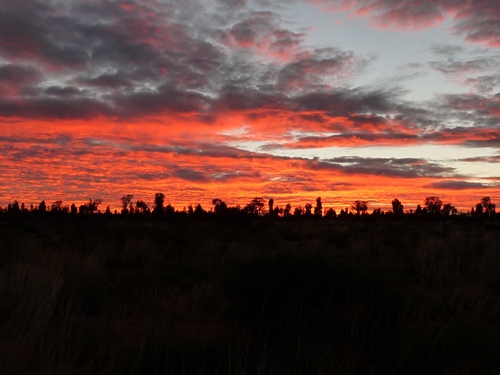 Sunset am Uluru